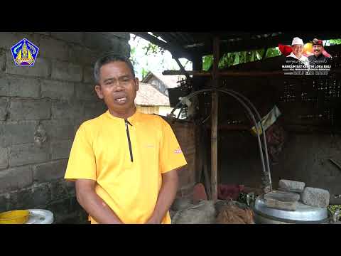dukungan-koperasi-arak-tirta-phipala-untuk-melestarikan-arak-tradisional