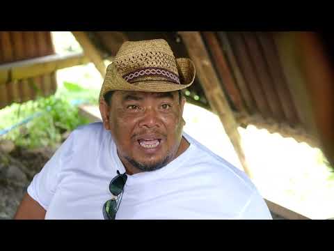 arak-bali-sudah-diakui-warisan-budaya-indonesia