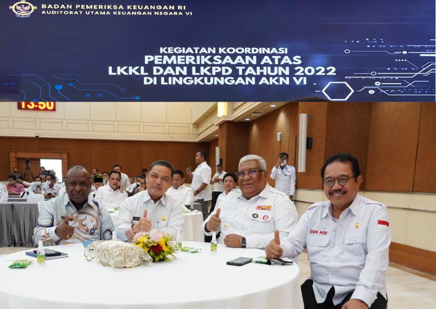 wakil-gubernur-cok-ace-hadiri-kegiatan-koordinasi-pemeriksaan-atas-lkkl-dan-lkpd-arahan-2022