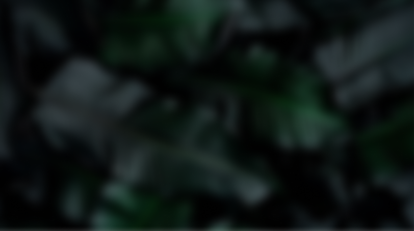 testing-123-434343